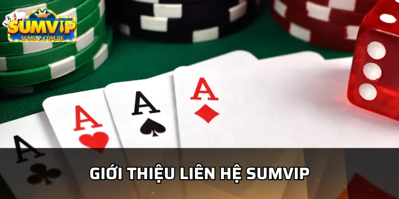 Tìm hiểu khái niệm về liên hệ sumvip 