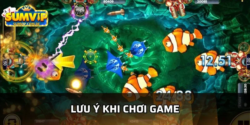 Những lưu ý khi tham gia Đại dương sumvip