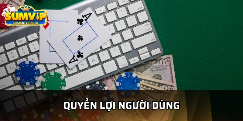 Người dùng được quyền lợi khi tham gia VIP Sumvip